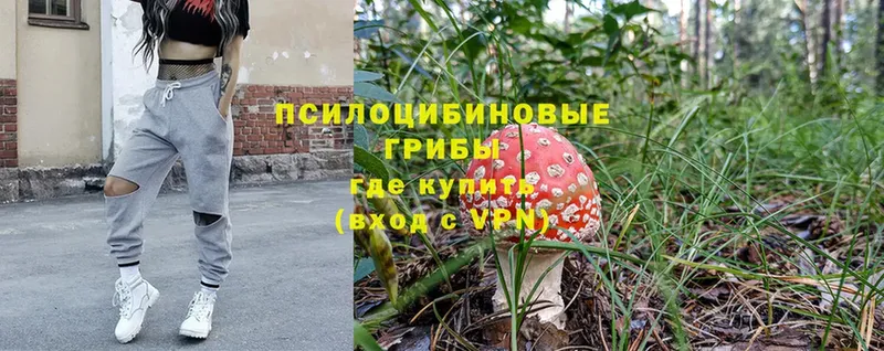 Галлюциногенные грибы MAGIC MUSHROOMS  как найти закладки  Сальск 